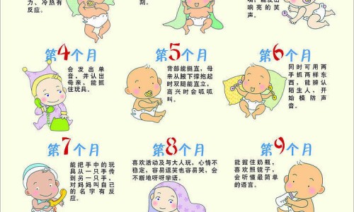 破壁的食物有营养吗百度百科-破壁的食物有营养吗网 :分享破壁是什么功能-破壁是干嘛的知识
