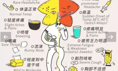 食物破壁后会破坏营养吗-破壁的食物有营养吗网 :分享破壁是什么功能-破壁是干嘛的知识