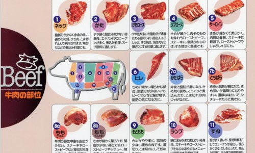 食物破壁后会破坏营养吗-破壁的食物有营养吗网 :分享破壁是什么功能-破壁是干嘛的知识